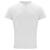 Clique Classic-T Organic Cotton Hvit XXL 