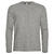 Clique Premium Fashion-T LS Grå M 