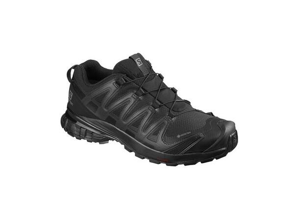 Salomon XA Pro 3D v8 GTX Svart 45 1/3 Trekkingshoe