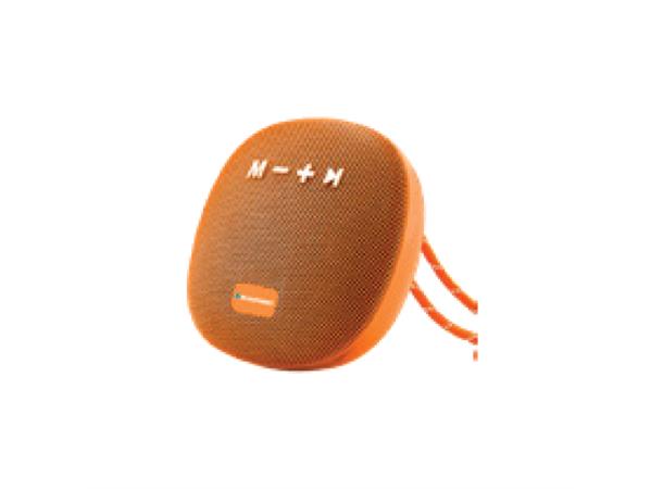 Blaupukt Bluetooth Outdoor 5W speaker Oransje