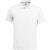 C&B Kelowna Polo Men White Xl Hvit, str. XL 