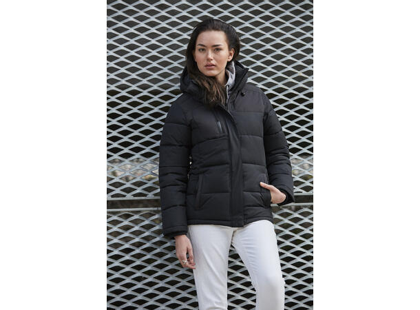 Clique Colorado W Svart XXL