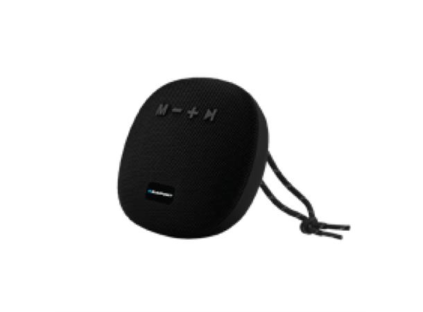 Blaupukt Bluetooth Outdoor 5W speaker Svart