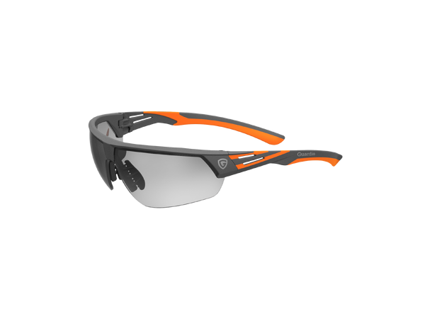 Guardio ARGOS Safety Glasses Grå