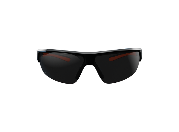 Guardio ARGOS Safety Glasses Grå