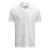 Harvest Scarsdale Polo Men Hvit XL 