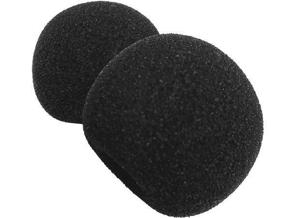 WOLF Apex Windshield Sponge